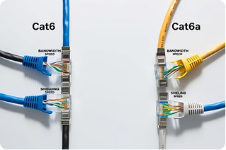 Cat 6 & Cat 6a: